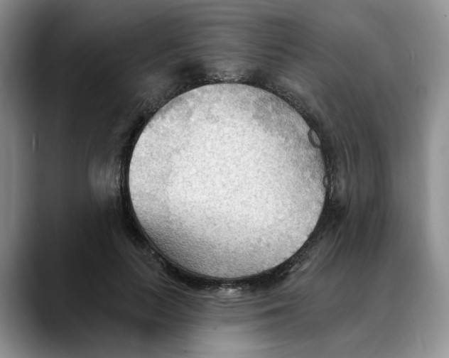 X0000088490647200706121550