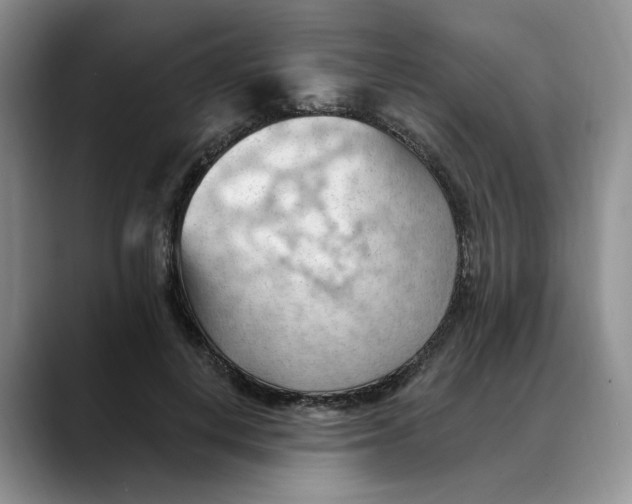 X0000088490648200706121550