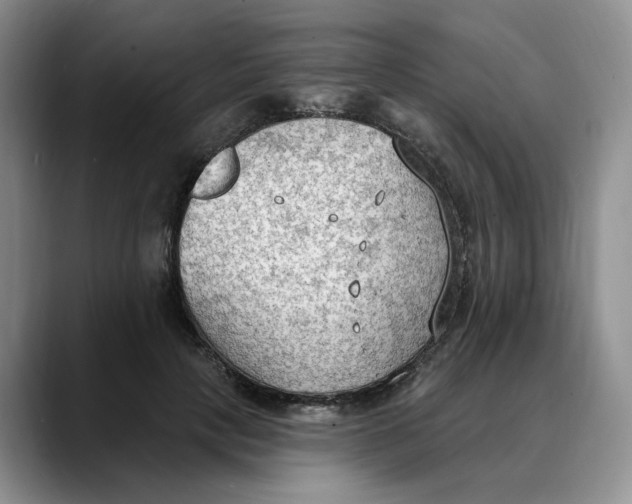 X0000088490649200706121550