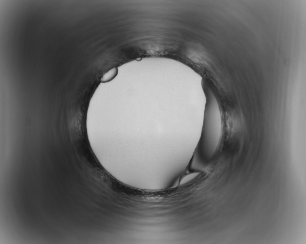 X0000088490650200706121550