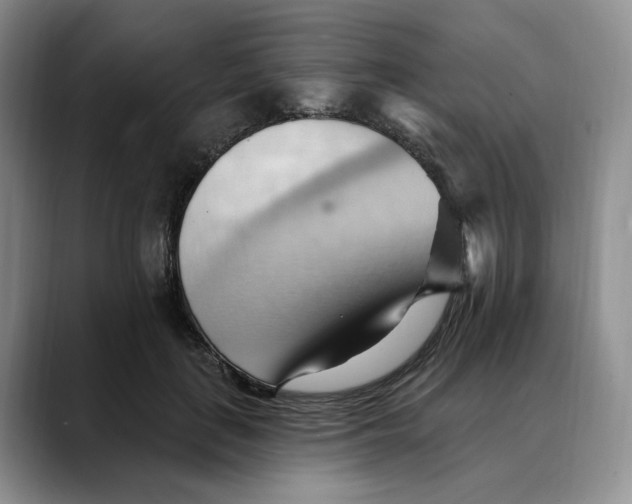 X0000088490651200706121550