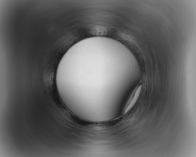 X0000088490652200706121550