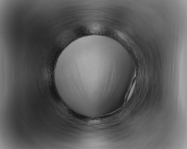 X0000088490653200706121550