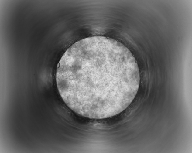 X0000088490655200706121550