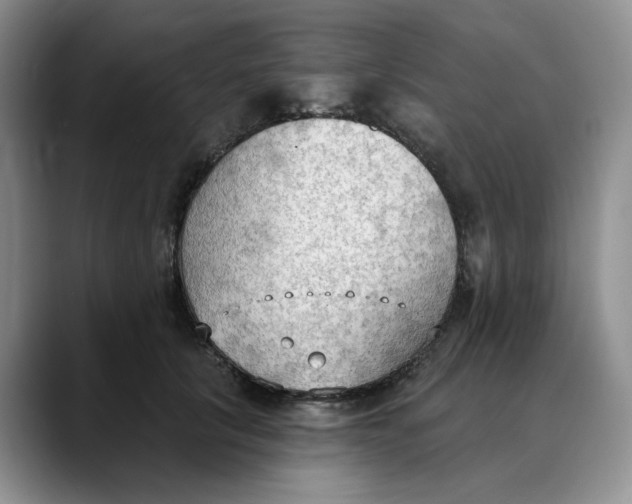 X0000088490657200706121550