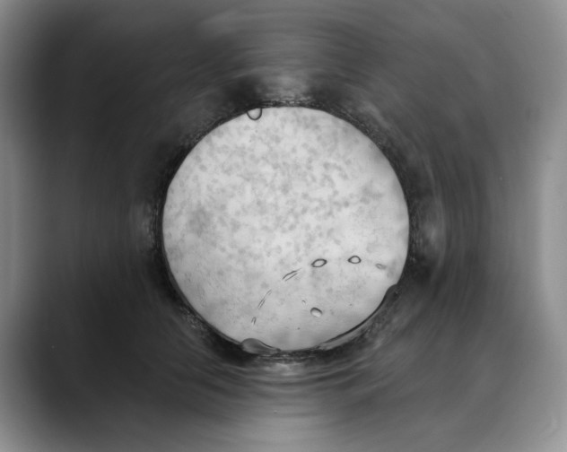 X0000088490658200706121550