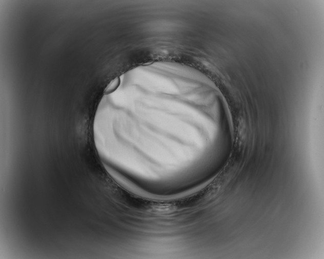 X0000088490659200706121550