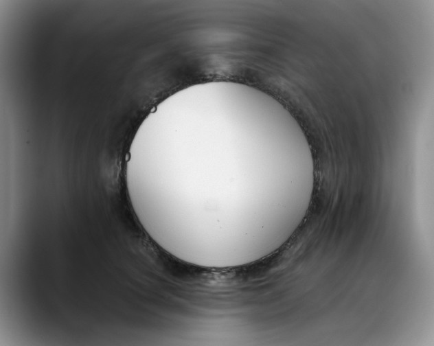X0000088490660200706121550