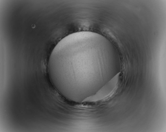 X0000088490661200706121550
