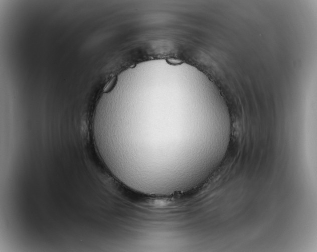 X0000088490662200706121550