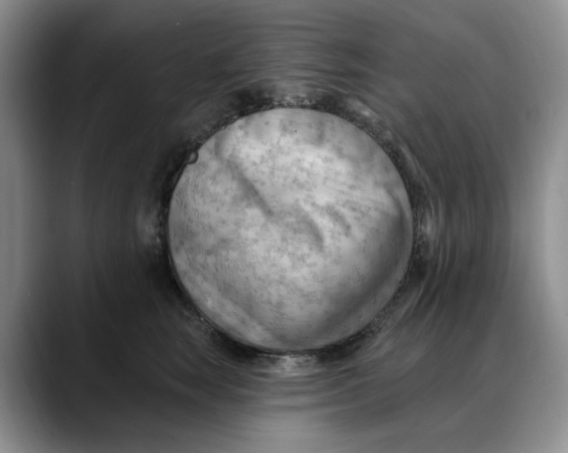 X0000088490663200706121550