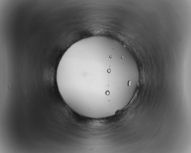 X0000088490664200706121550