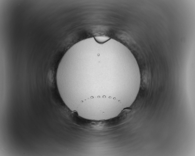 X0000088490667200706121550