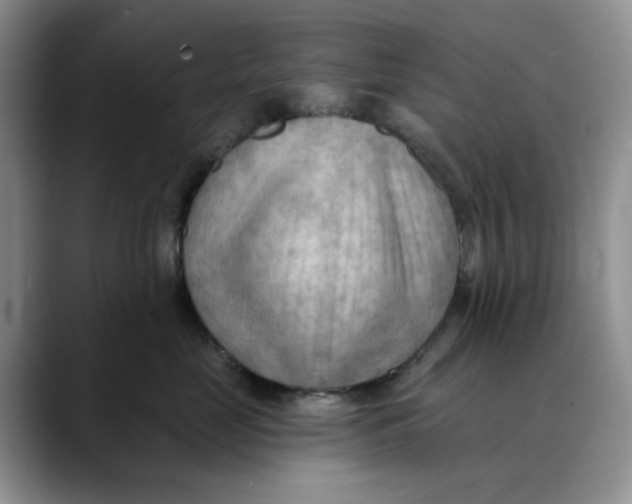 X0000088490669200706121550