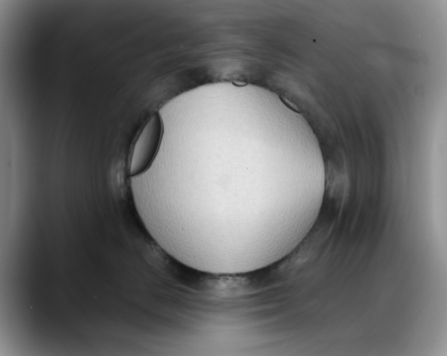X0000088490670200706121550