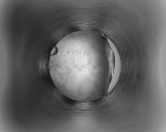 X0000088490671200706121550