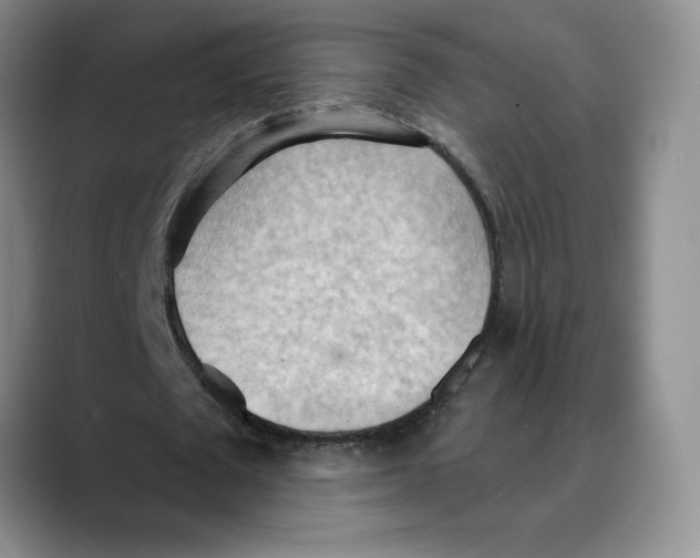 X0000088490673200706121549