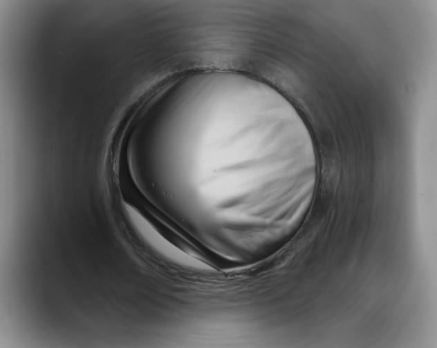 X0000088490674200706121549