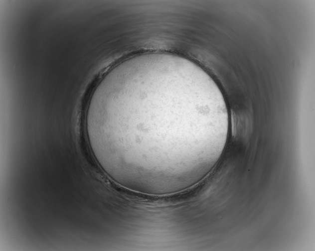 X0000088490675200706121549