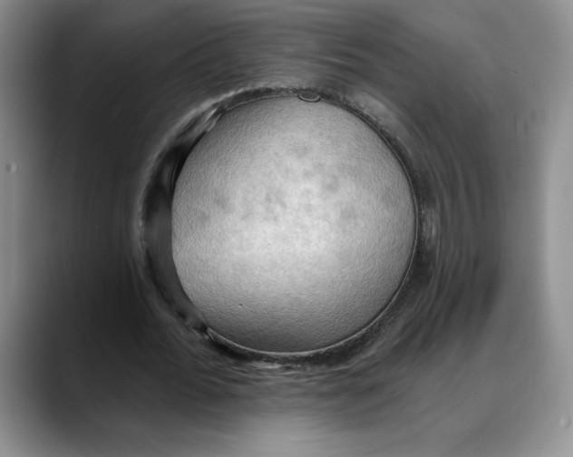 X0000088490676200706121549