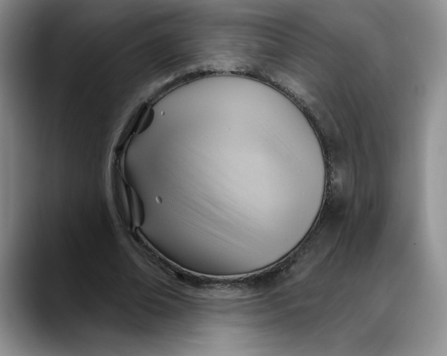 X0000088490678200706121549