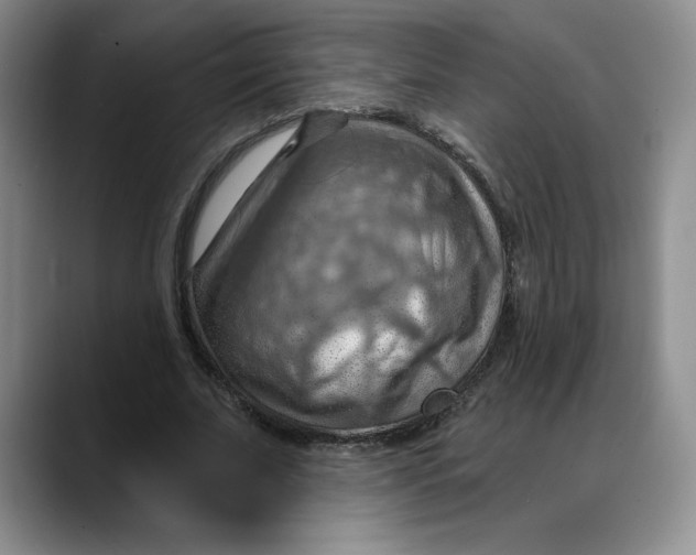 X0000088490679200706121549