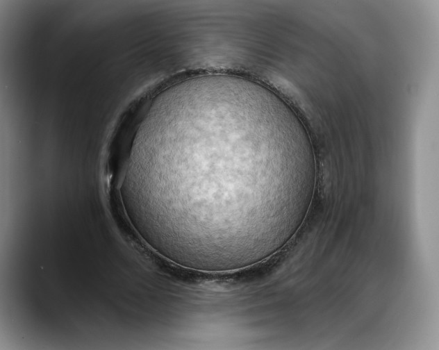 X0000088490680200706121549