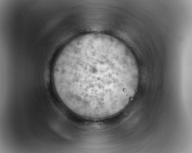 X0000088490683200706121549