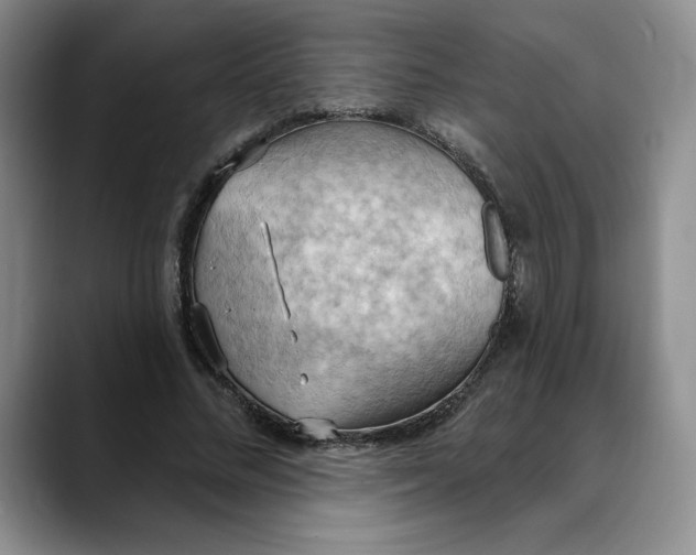 X0000088490684200706121549