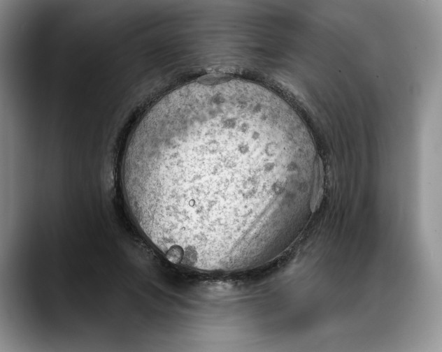 X0000088490687200706121549