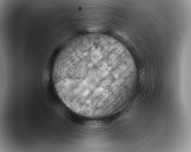 X0000088490691200706121549