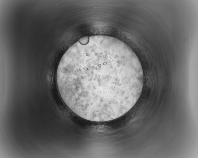 X0000088490695200706121549