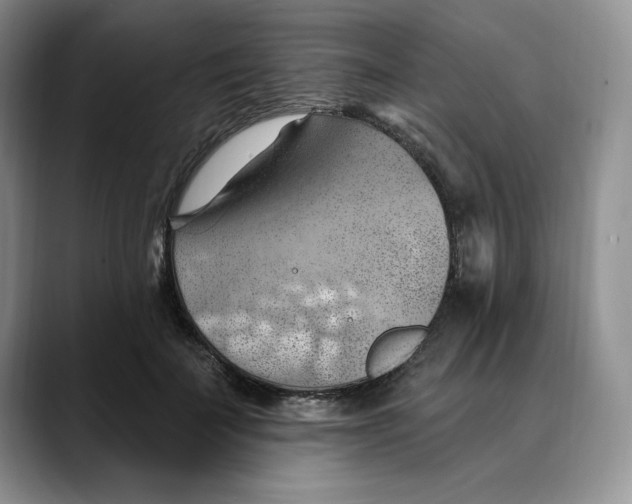 X0000088490699200706121549