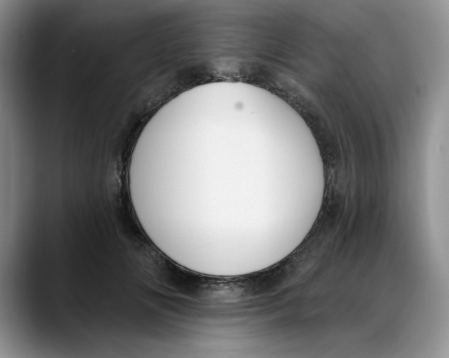 X0000088490702200706121549