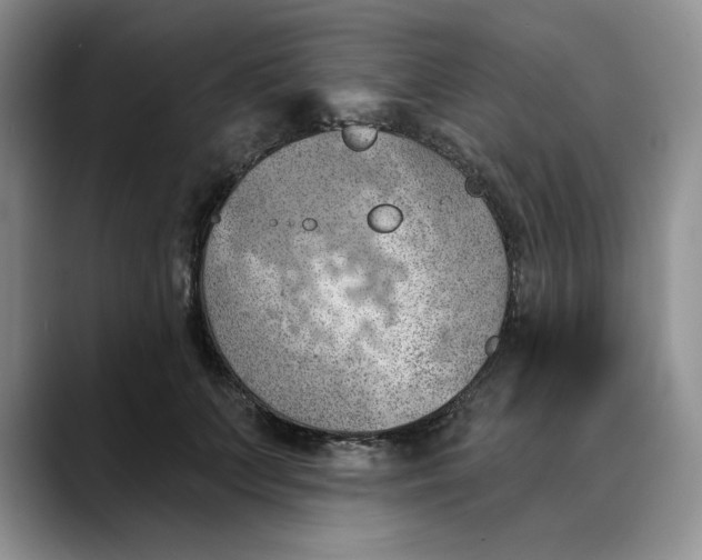 X0000088490703200706121549