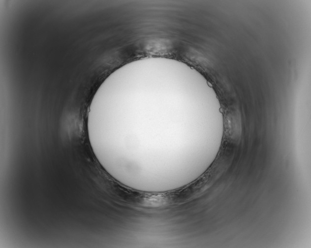 X0000088490705200706121549