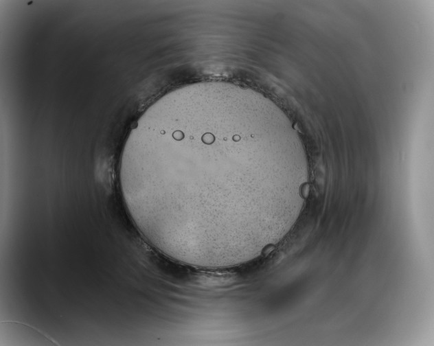 X0000088490707200706121549