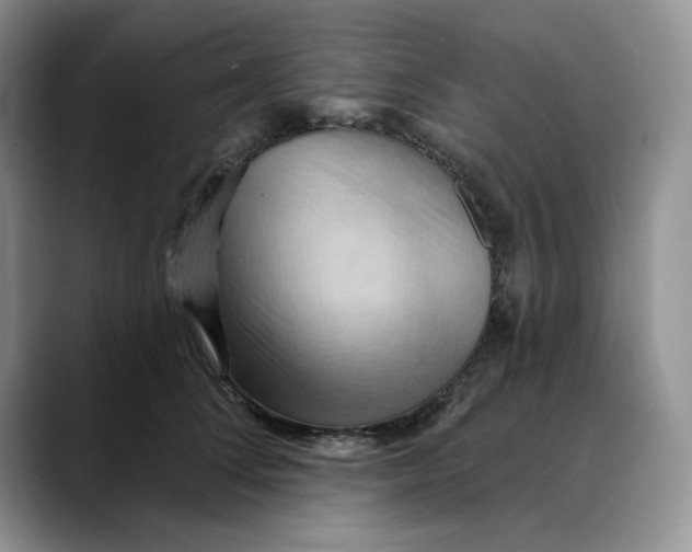 X0000088490708200706121549