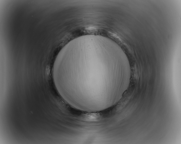 X0000088490711200706121549