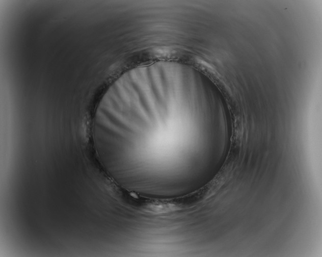 X0000088490712200706121549