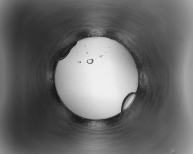 X0000088490714200706121549