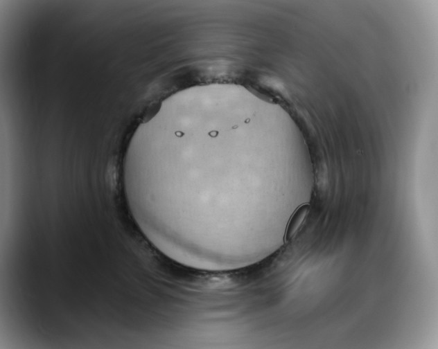 X0000088490715200706121549