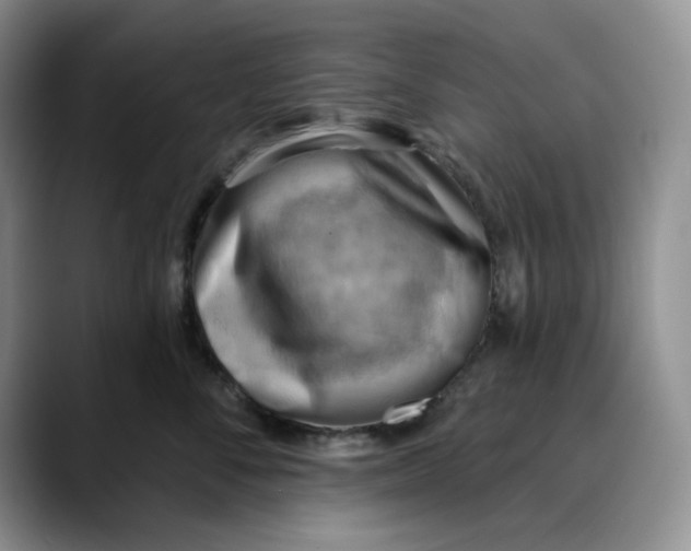 X0000088490716200706121549