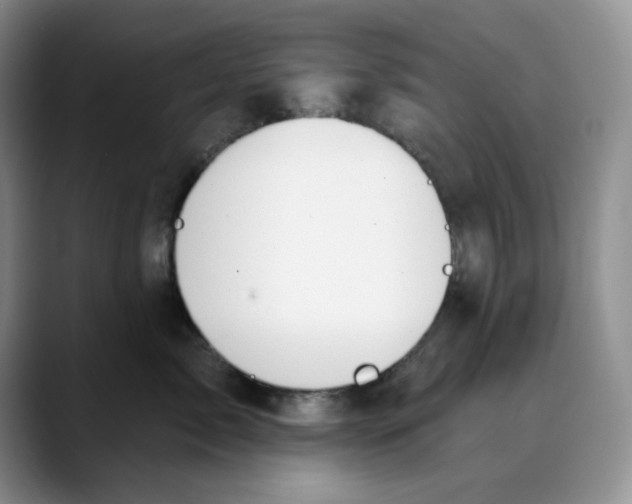 X0000088490717200706121549