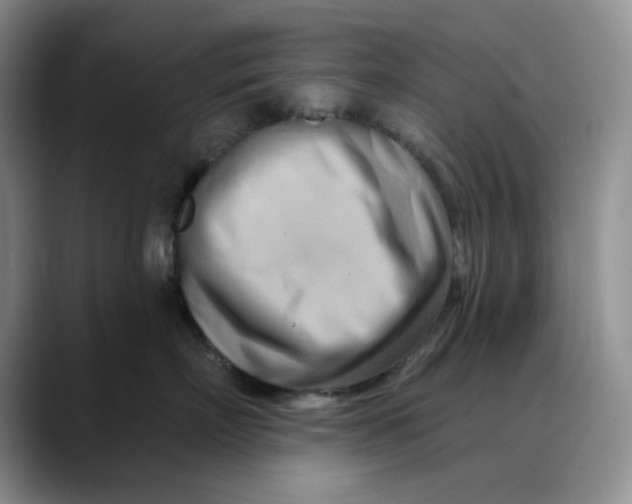 X0000088490718200706121549