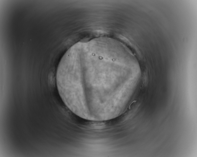 X0000088490719200706121549