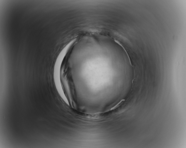 X0000088490720200706121549