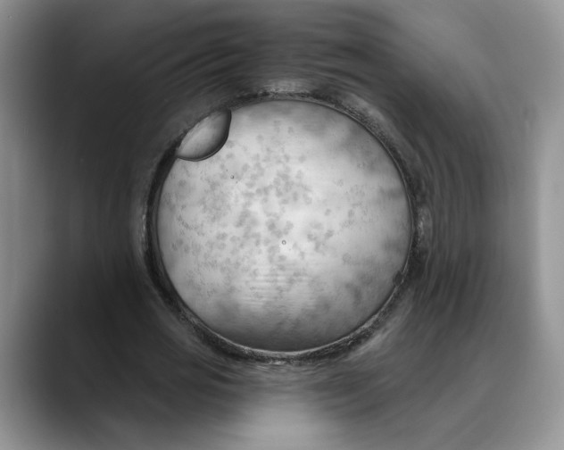 X0000088490725200706121548