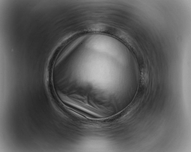 X0000088490726200706121548