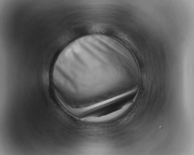 X0000088490729200706121548